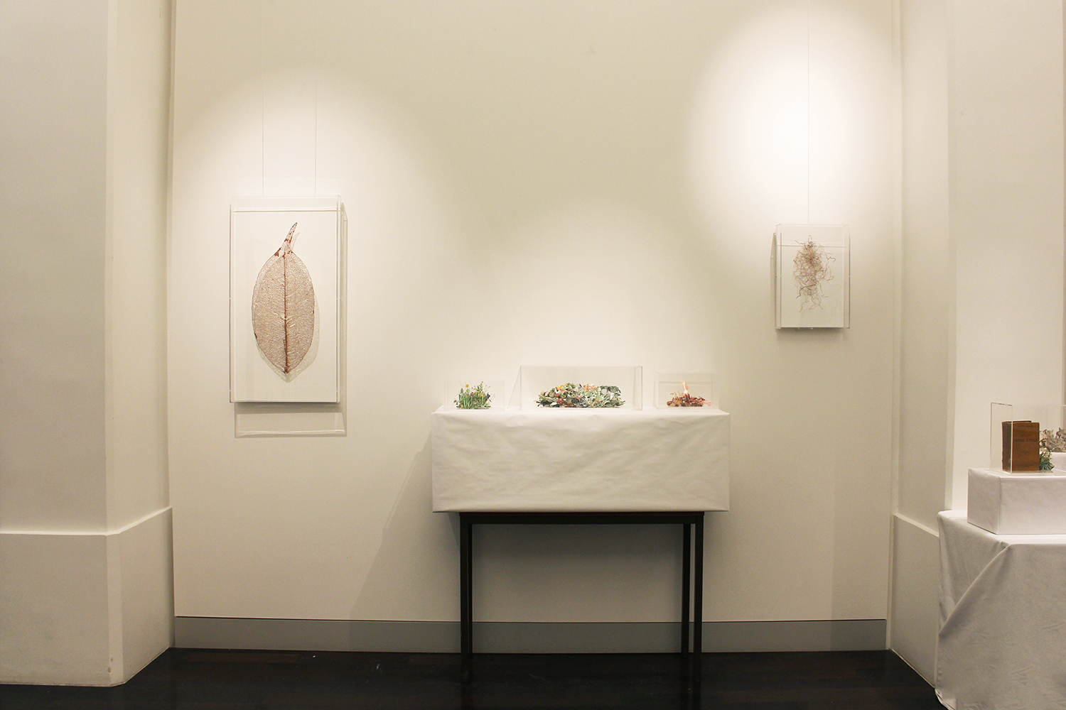 Exhibition view, "Works", Rodrigo Arteaga, Alexandra Hopf, Alessandro Roma Hôtel de l'Industrie, February 18th - February 20th, 2016