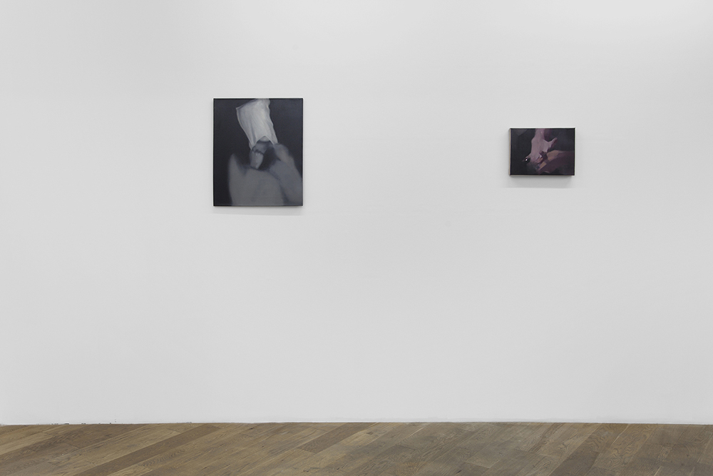Brisure de symétrie, curated by Bernardo Sopelana, Nacho Martín-Silva and Alain Urrutia, exhibition view, December 2015