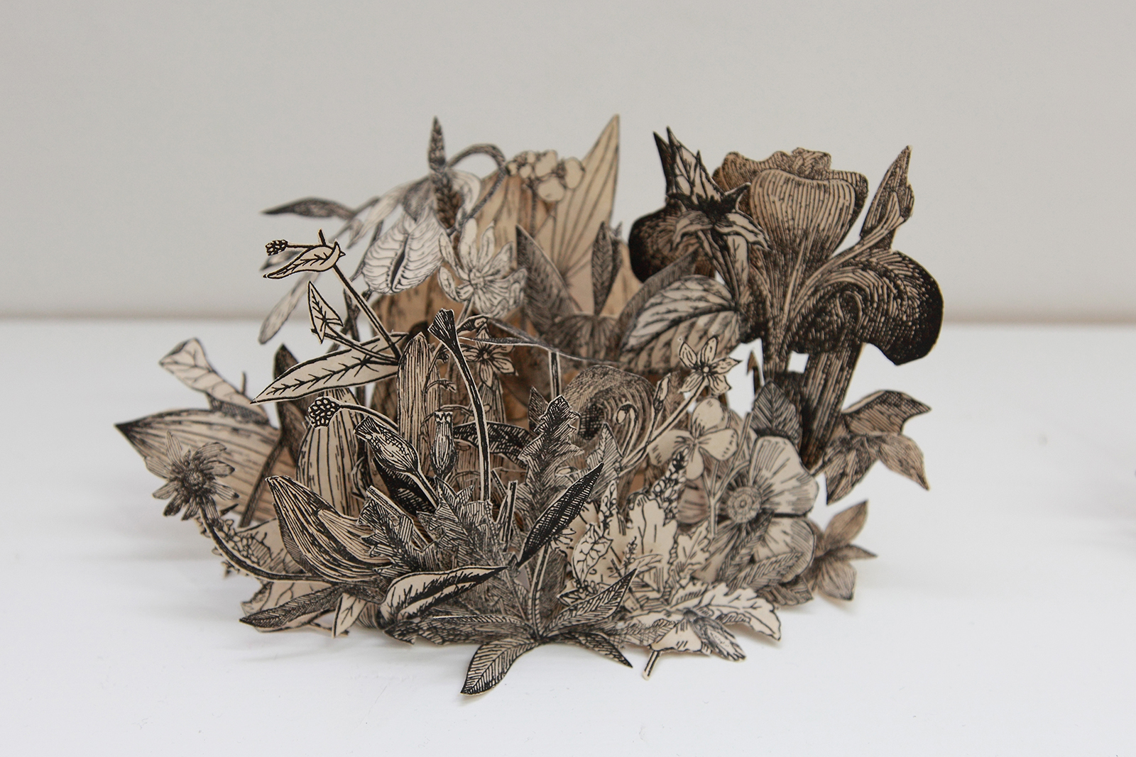 Rodrigo Arteaga, Herbarium of botanical studies, 2015, cut-out from botanical books, variable dimensions.