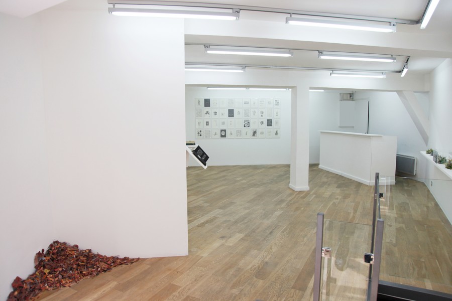 Instruction in a circle, Rodrigo Arteaga, exhibition view, May 2015