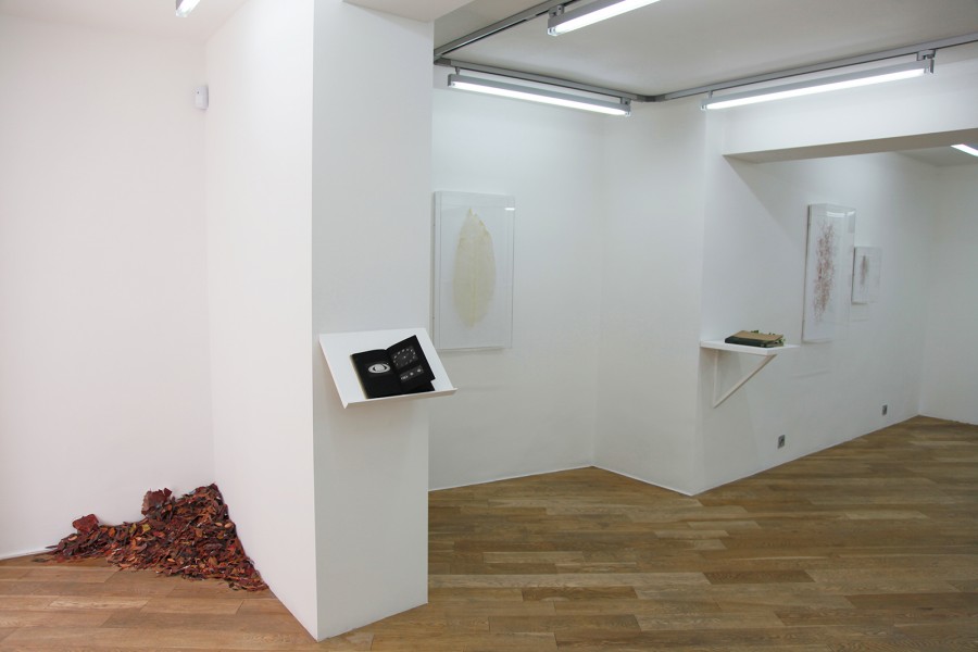 Instruction in a circle, Rodrigo Arteaga, exhibition view, May 2015