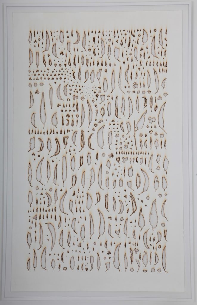 Rodrigo Arteaga, "Monocultures #1", 2019, Papier Brulé Manuellement, 135 x 210 cm.