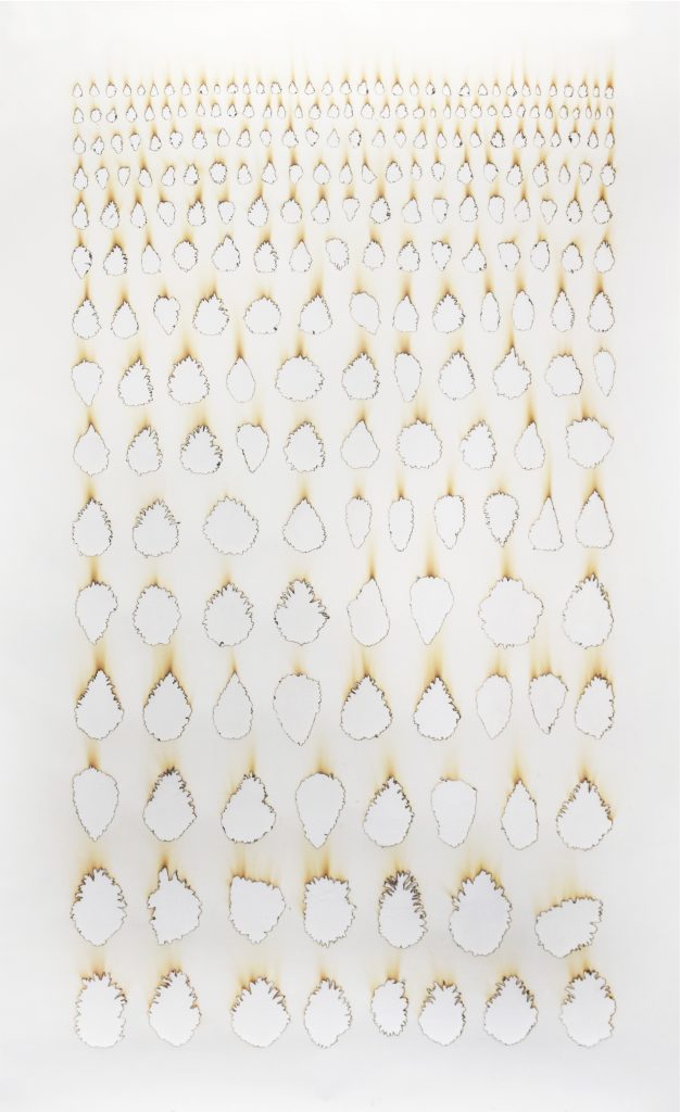 Rodrigo Arteaga, <em>Monoculture #3</em>, 2021, papier brûlé, 200 x 120 cm