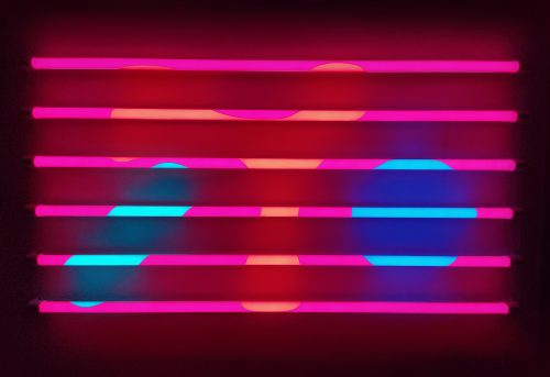 Anine Kirsten, "Anemone", 2021, néon LED, film, 122 x 62 cm