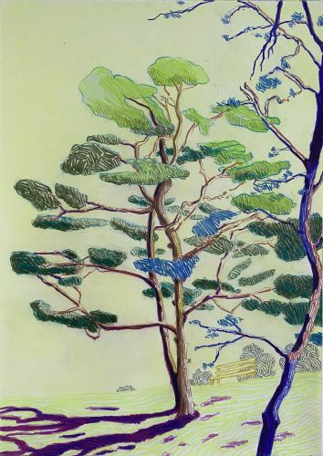 Per Adolfsen, Portrait of a Tree and an Empty Bench in a Park, 2022, colored pencil and chalk on paper, 42 x 30 cm.