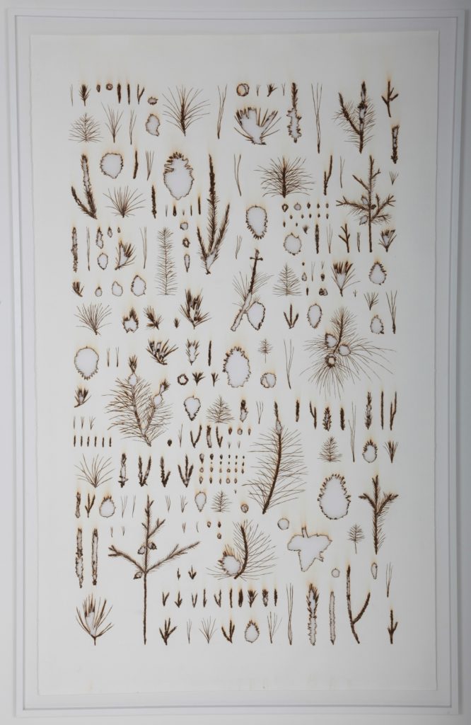Rodrigo Arteaga, "Monocultures #2", 2019, Papier Brulé Manuellement, 135 x 210 cm.