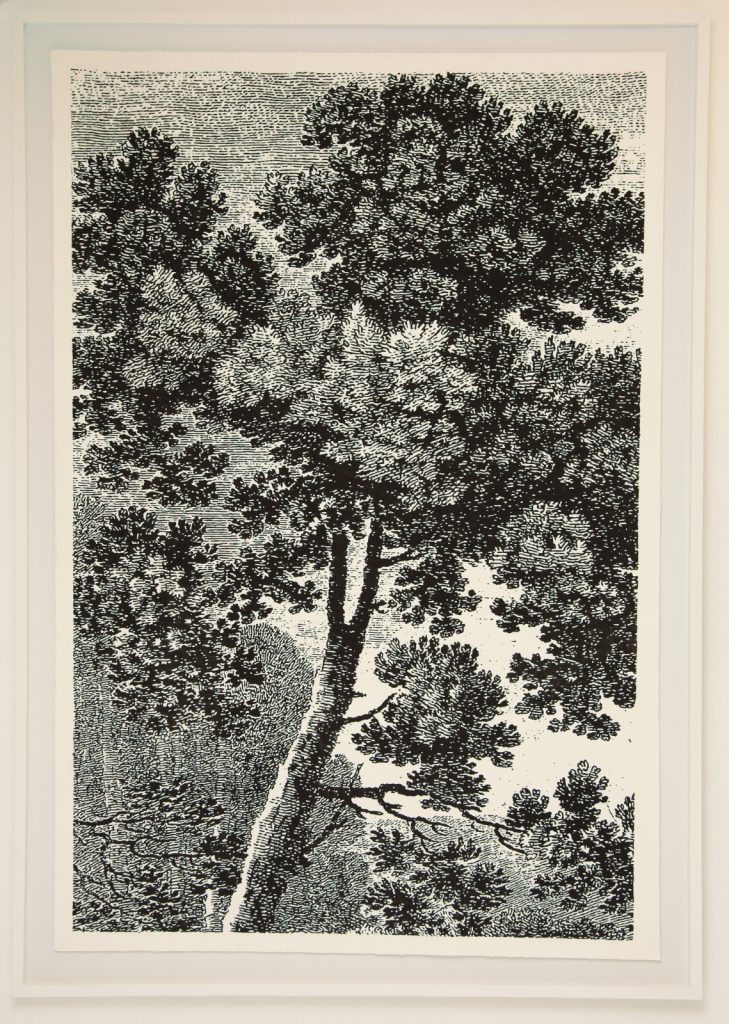 Thomas Andrea Barbey, "Drawn After Nature", 2020, Gouache Sur Papier, 165 x 116 cm.